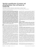 Absolute quantification of proteins and phosphoproteins from cell lysates by tandem MS