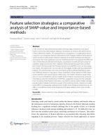 Feature selection strategies: a comparative analysis of SHAP-value and importance-based methods