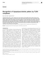 Recognition of lipopolysaccharide pattern by TLR4 complexes