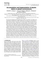 Accumulation and fragmentation of plastic debris in global environments