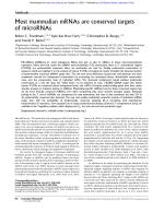 Most mammalian mRNAs are conserved targets of microRNAs