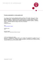 Framing sustainability in a telecoupled world