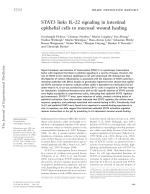 STAT3 links IL-22 signaling in intestinal epithelial cells to mucosal wound healing