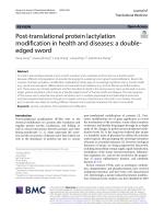 Post-translational protein lactylation modification in health and diseases: a double-edged sword