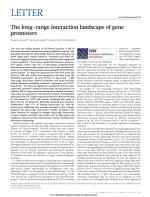 The long-range interaction landscape of gene promoters