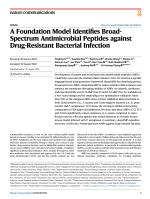 A Foundation Model Identifies Broad-Spectrum Antimicrobial Peptides against Drug-Resistant Bacterial Infection