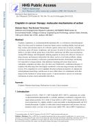 Cisplatin in cancer therapy: molecular mechanisms of action