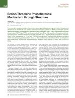 Serine/Threonine Phosphatases: Mechanism through Structure