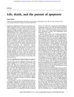 Life, death, and the pursuit of apoptosis