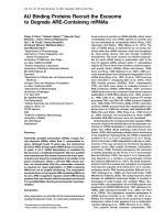 AU Binding Proteins Recruit the Exosome to Degrade ARE-Containing mRNAs