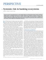 Systemic risk in banking ecosystems