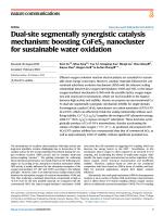 Dual-site segmentally synergistic catalysis mechanism: boosting CoFeSx nanocluster for sustainable water oxidation