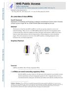 An overview of microRNAs