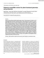 Gateway-compatible vectors for plant functional genomics and proteomics