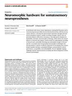 Neuromorphic hardware for somatosensory neuroprostheses