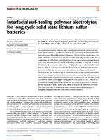 Interfacial self-healing polymer electrolytes for long-cycle solid-state lithium-sulfur batteries
