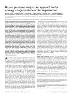 Drusen proteome analysis: An approach to the etiology of age-related macular degeneration