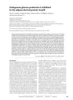 Endogenous glucose production is inhibited by the adipose-derived protein Acrp30