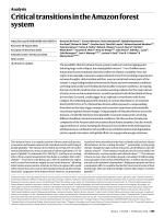 Critical transitions in the Amazon forest system
