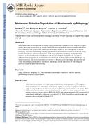Minireview: Selective Degradation of Mitochondria by Mitophagy