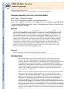 Genome regulation by long noncoding RNAs