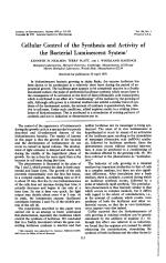 Cellular Control of the Synthesis and Activity of the Bacterial Luminescent System