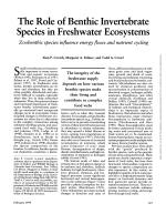 The Role of Benthic Invertebrate Species in Freshwater Ecosystems