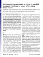 Molecular-phylogenetic characterization of microbial community imbalances in human inflammatory bowel diseases