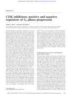 CDK inhibitors: positive and negative regulators of G1-phase progression