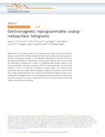 Electromagnetic reprogrammable coding-metasurface holograms