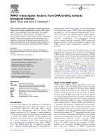 WRKY transcription factors: from DNA binding towards biological function