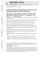A Brain Tumor Molecular Imaging Strategy Using A New Triple-Modality MRI-Photoacoustic-Raman Nanoparticle
