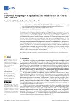 Neuronal Autophagy: Regulations and Implications in Health and Disease