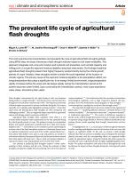 The prevalent life cycle of agricultural flash droughts