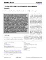 Gold Recovery from E-Waste by Food-Waste Amyloid Aerogels