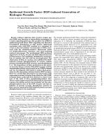 Epidermal Growth Factor (EGF)-induced Generation of Hydrogen Peroxide ROLE IN EGF RECEPTOR-MEDIATED TYROSINE PHOSPHORYLATION