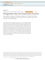 Nitrogenated holey two-dimensional structures