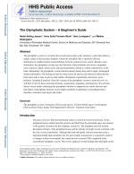 The Glymphatic System – A Beginner's Guide