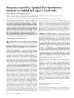 Reciprocal subsidies: Dynamic interdependence between terrestrial and aquatic food webs