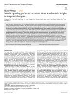 Notch signaling pathway in cancer: from mechanistic insights to targeted therapies