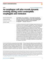An esophagus cell atlas reveals dynamic rewiring during active eosinophilic esophagitis and remission