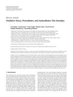 Oxidative Stress, Prooxidants, and Antioxidants: The Interplay