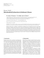 Mitochondrial Dysfunction in Parkinson’s Disease