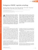 Endogenous HMGB1 regulates autophagy