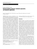 Bacterial alkaline proteases: molecular approaches and industrial applications