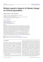 Robust negative impacts of climate change on African agriculture