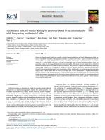 Accelerated infected wound healing by probiotic-based living microneedles with long-acting antibacterial effect