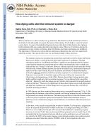 How dying cells alert the immune system to danger
