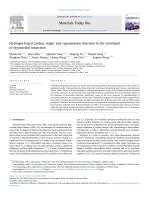 Hydrogel-based cardiac repair and regeneration function in the treatment of myocardial infarction