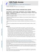 A Big Bang model of human colorectal tumor growth